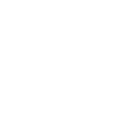 Napoli white monochrome logo