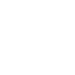 Parma white monochrome logo