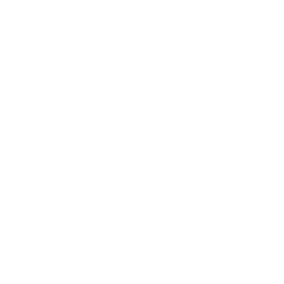 Roma white monochrome logo