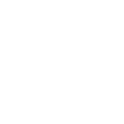 Sassuolo white monochrome logo