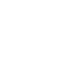 Torino white monochrome logo