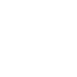 Udinese white monochrome logo