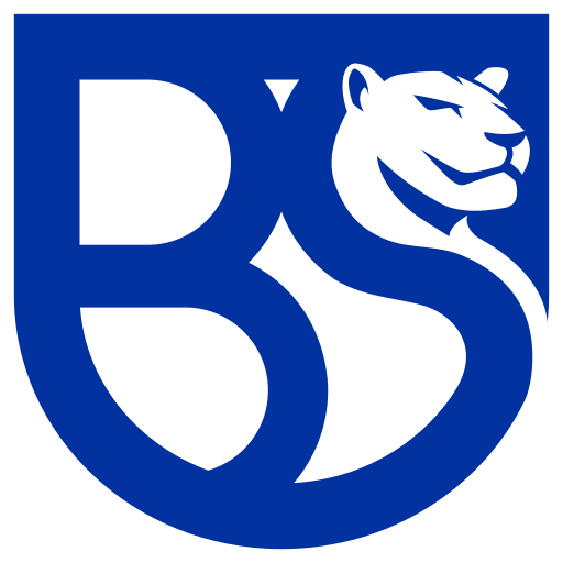 Union Brescia