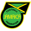 Jamaica National Team (Jamaica) logo