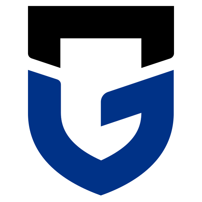Gamba Osaka (ガンバ大阪) (Japan) logo