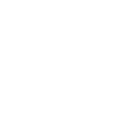 Mexico National Team white monochrome logo