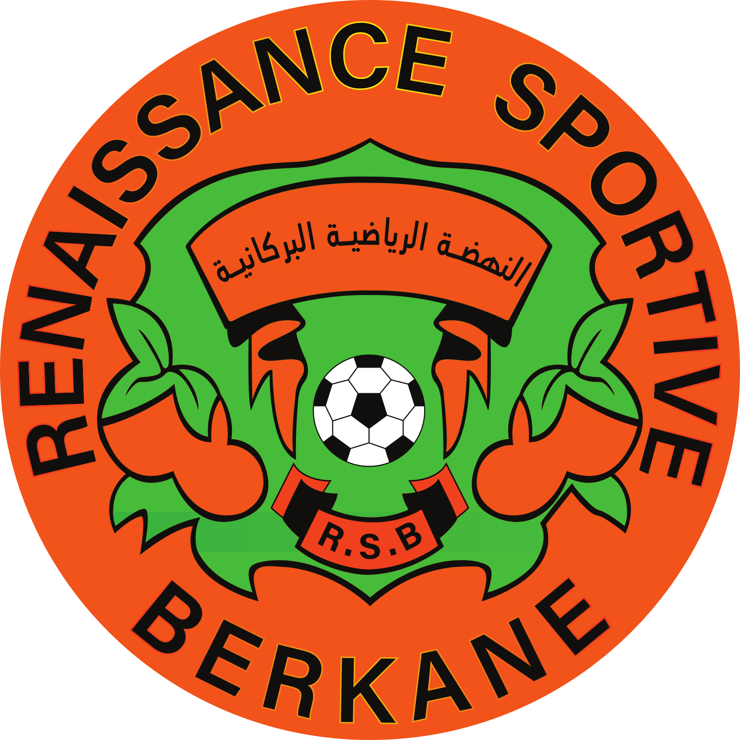 RS Berkane logo – transparent PNG