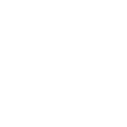 Ajax white monochrome logo