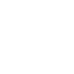 Feyenoord white monochrome logo