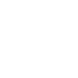 N.E.C. Nijmegen white monochrome logo