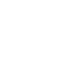 PSV Eindhoven white monochrome logo