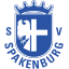 SV Spakenburg (Tweede Divisie) logo