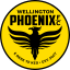 Wellington Phoenix FC (A League) logo