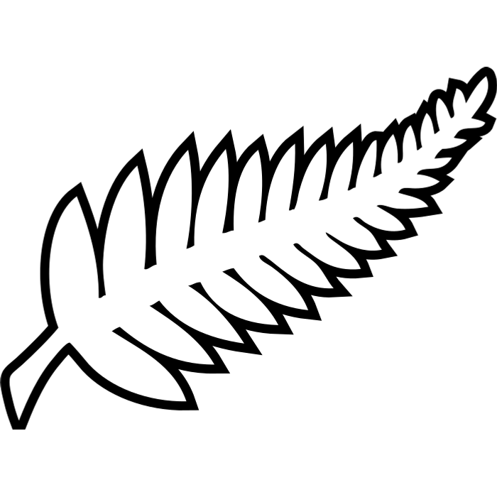 New Zealand National Team (New Zealand) logo