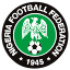 Nigeria National Team logo