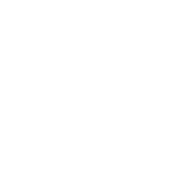 Norway National Team white monochrome logo