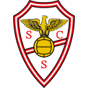 Salgueiros logo