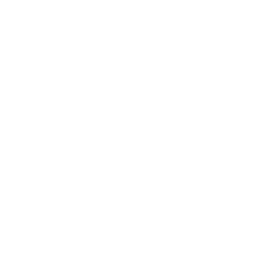 Alverca white monochrome logo