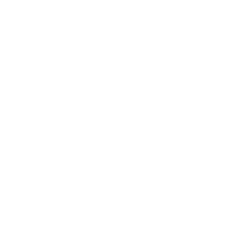 FC Porto white monochrome logo