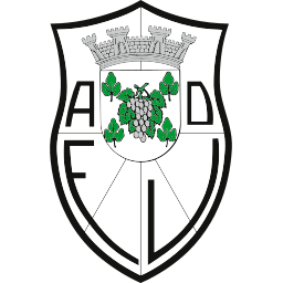 AD Figueiró dos Vinhos