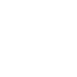 Moreirense white monochrome logo