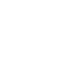 Nacional da Madeira white monochrome logo