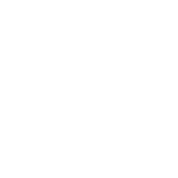 Primeira Liga (Liga Portugal) horizontal white (Portugal) logo