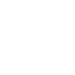 Primeira Liga white (Portugal) logo
