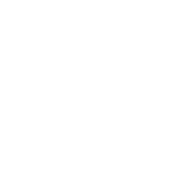 Rio Ave white monochrome logo