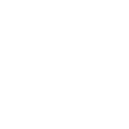 SC Braga white monochrome logo