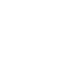 Vitória de Guimarães white monochrome logo