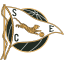 SC Espinho (Portugal) logo
