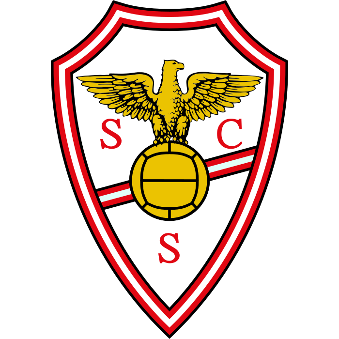 Salgueiros (Portugal) logo