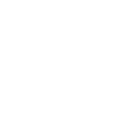Mamelodi Sundowns white monochrome logo