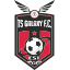 TS Galaxy (South Africa) logo