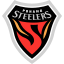 Pohang Steelers (South Korea) logo