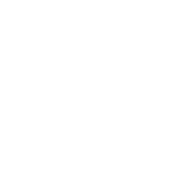 Barcelona white monochrome logo
