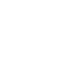 Celta white monochrome logo