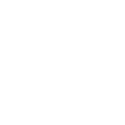 Deportivo Alavés white monochrome logo