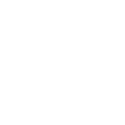 Deportivo La Coruña white monochrome logo