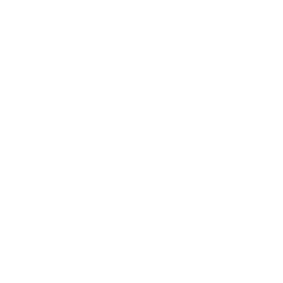 Espanyol white monochrome logo