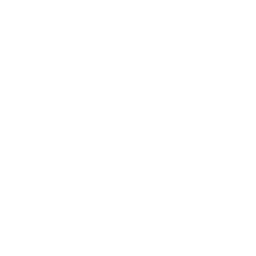 Levante white monochrome logo