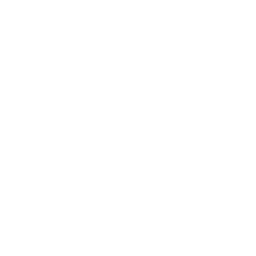 Rayo Vallecano white monochrome logo