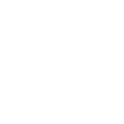 Real Betis white monochrome logo