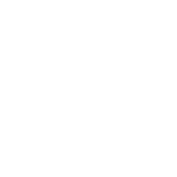 Real Madrid white monochrome logo