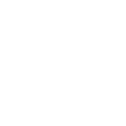 Real Sociedad white monochrome logo