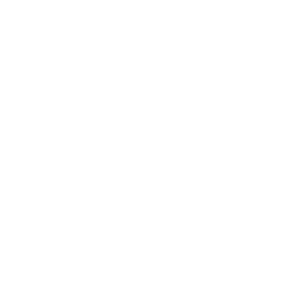 Spain National Team white monochrome logo