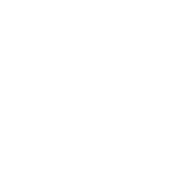 Valencia white monochrome logo