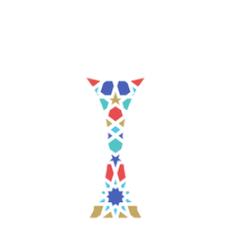 Africa Cup of Nations 2025 (AFCON 2025) no text (Tournaments) logo