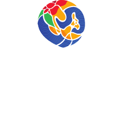 FIFA ASEAN Cup logo collection pack. 14 teams.